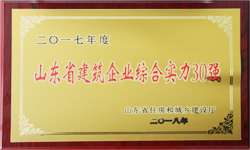 濟(jì)寧瑞能復(fù)合材料股份有限公司